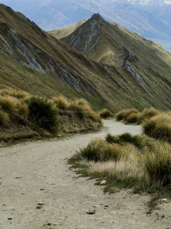 Photo for Beautiful landscape of Roy's Peak Track, Wanaka, New Zealand - Royalty Free Image