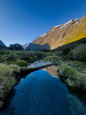 mountain stream in the alps, Gertrude Saddle walk, Fiordland National Park, South Island, New Zealand