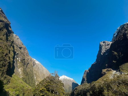 Gebirgsbach in den Alpen, Gertrude Sattelwanderung, Fiordland National Park, Südinsel, Neuseeland