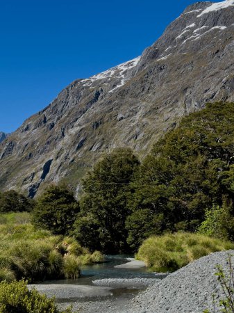 Gertrude Saddle walk, Fiordland National Park, South Island, New Zealand