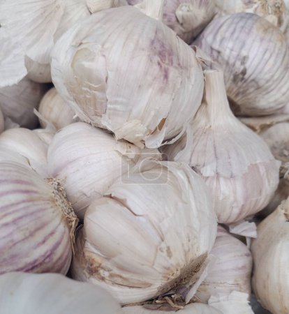 This is a pic of garlic which is very essential for human health.