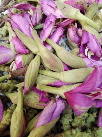 This is a pic of Bauhinia Variegata flowers which are used as a vegetable in some Asian countries.