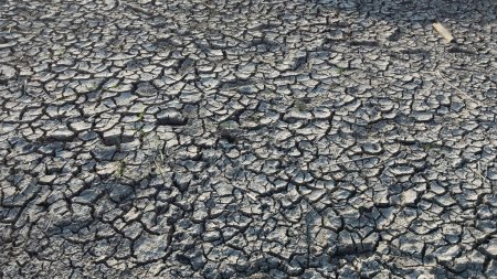 Landscape of soil drought cracked on rice field