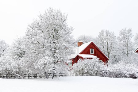 Winterszene. Rotes Haus zwischen schneebedeckten Bäumen.