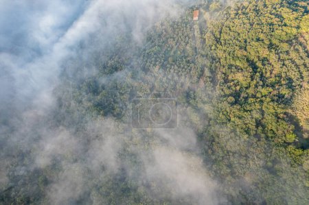 Foto de Toscana desde arriba. Vino y campo de olivos con niebla alrededor. Drone Shot. Foto de alta calidad - Imagen libre de derechos