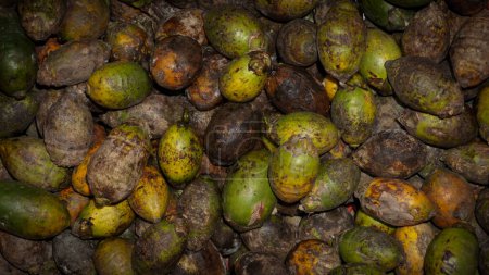 Foto de Indian betel nut. unhealthy betel nut Bangladeshi food. - Imagen libre de derechos