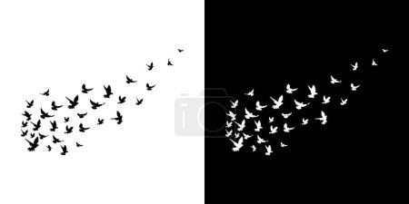 Illustration for Bird flying silhouette isolated on white background vector design element illustration. - Royalty Free Image