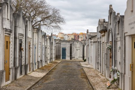 Photo for February 22, 2023 Lisbon, Portugal: Alto de Sao Joao Cemetery - the path between the family crypts. Mid shot - Royalty Free Image
