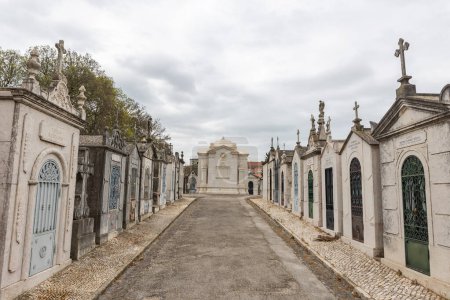 Photo for February 22, 2023 Lisbon, Portugal: Alto de Sao Joao Cemetery - the path between the family crypts leading to the mausoleum. Mid shot - Royalty Free Image
