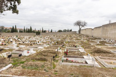 Photo for February 22, 2023 Lisbon, Portugal: Alto de Sao Joao Cemetery - ground graves. Mid shot - Royalty Free Image