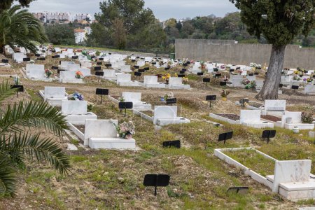 Photo for February 22, 2023 Lisbon, Portugal: Alto de Sao Joao Cemetery - one-type ground graves. Mid shot - Royalty Free Image