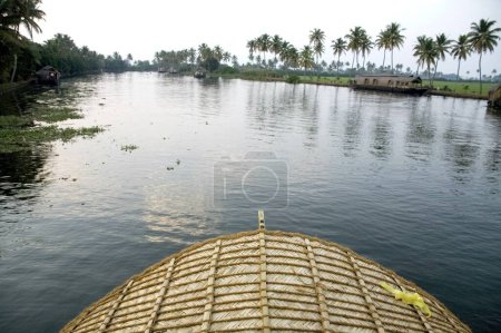 Casas flotantes de lujo y cocoteros en Backwaters, Alleppey, Kerala, India