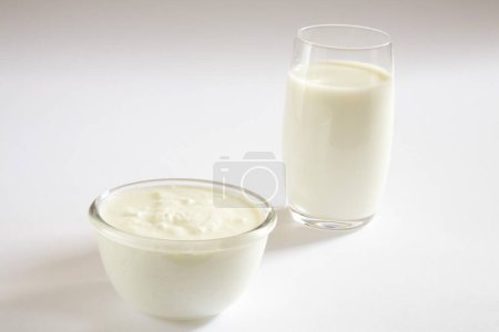 Yogourt au lait caillé dahi maison ou produits laitiers