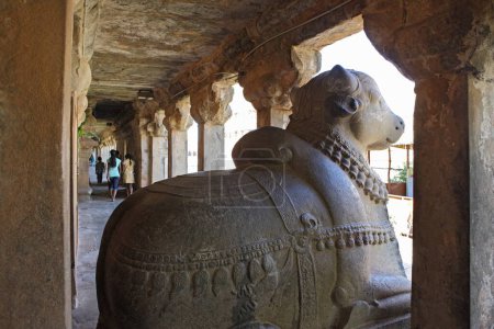 Téléchargez les photos : Énorme Nandi Bulls Brihadishwara Temple Vishwakarma Tamilnadu Inde - en image libre de droit
