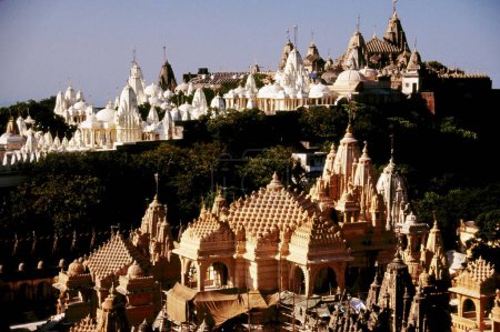 Vue aérienne des temples Palitana Jain dans le Gujarat, Inde