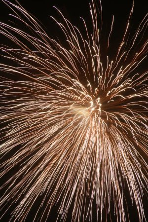 Téléchargez les photos : Affichage de feux d'artifice dans le ciel - en image libre de droit