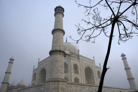 Téléchargez les photos : Taj Mahal Septième merveilles du monde, Agra, Uttar Pradesh, Inde Patrimoine mondial de l'UNESCO - en image libre de droit