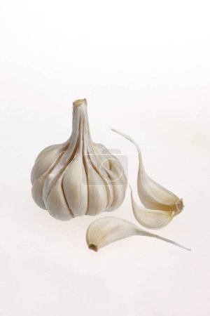 Indian spices , full garlic bulbs and cloves allium sativum on white background