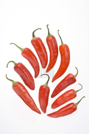 Foto de Especias de la India, diez rojo frío o chiles capsicum annuum sobre fondo blanco - Imagen libre de derechos