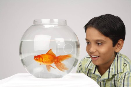 Niño de diez años viendo el movimiento de los peces de oro en un tazón de vidrio
