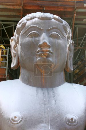 Polvo de sándalo espolvoreado sobre una estatua de dieciocho metros de altura del santo bhagwan gomateshwara bahubali en el festival mahamasthakabhisheka Jain, Shravanabelagola en Karnataka, India Febrero _ 2006