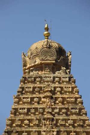 Foto de Brihadishwara Templo Vishwakarmas Tamilnadu India - Imagen libre de derechos