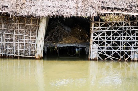 Téléchargez les photos : Inondation du Bihar 2008 eau de la rivière Kosi dans le district de Purniya, Bihar, Inde - en image libre de droit