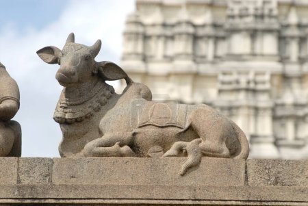 Richly stone carved statue of Nandi bull at Ramanathswami temple , Tamil Nadu , India