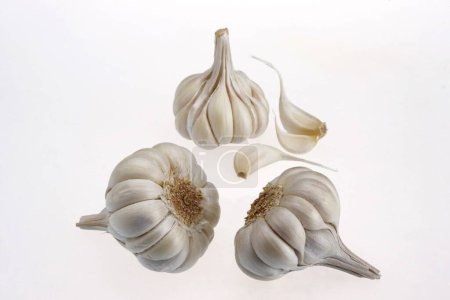 Especias indias, bulbos de ajo completos y dientes allium sativum sobre fondo blanco