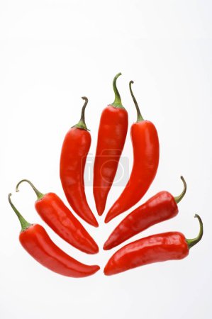 Photo for Indian spices , seven red chilly or chillies capsicum annuum on white background - Royalty Free Image