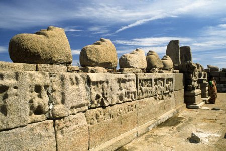 Téléchargez les photos : Statues de Nandi sur le mur du temple de rivage, Mahabalipuram Mamallapuram, Tamil Nadu, Inde - en image libre de droit