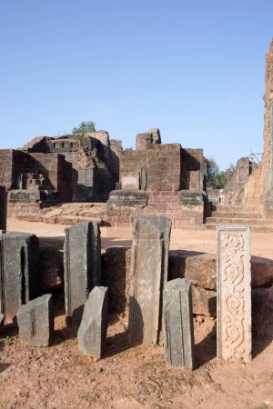 Téléchargez les photos : Eglise de Saint Augustin, patrimoine mondial de l'UNESCO, Old Goa, Velha Goa, Inde - en image libre de droit