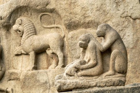 Téléchargez les photos : Pénitence d'Arjunas ou pénitence de Bhagirathas monolithe massif en plein air de bas _ relief au 7ème siècle situé dans Mahabalipuram Tamil Nadu, Inde - en image libre de droit