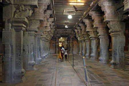 Photo for Granite Stone columns Hall of brihadishwara temple Vishwakarma Tamilnadu India - Royalty Free Image