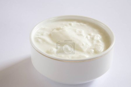 Curd yogurt dahi home or dairy product