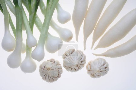 Foto de Vegetales y especias, rábanos de ajo con cebolla sobre fondo blanco - Imagen libre de derechos