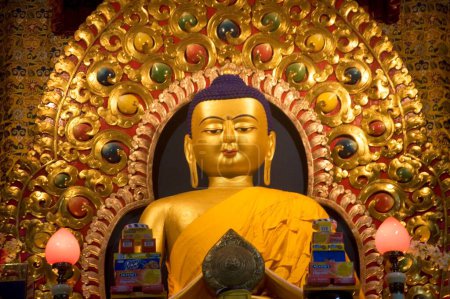 Téléchargez les photos : Sakyamuni Buddha idol Tsuglagkhang complexe Dalai lama temple, Mcleod Ganj Himachal Pradesh, Himalaya, Inde - en image libre de droit