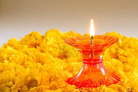 Híbrido Zinnia Flores color naranja y lámpara de aceite de plástico, India