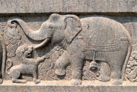 Elefantenkampf mit Löwenreliefsteingravur an der Wand des Swami Vivekananda Rock Memorial Mandapam, Kanyakumari, Tamil Nadu, Indien
