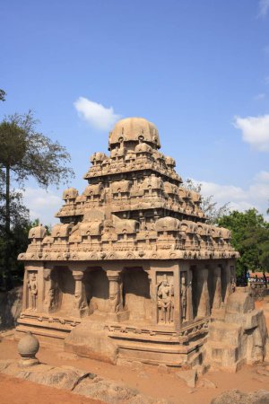 Photo for Dharmaraja Ratha and Pancha Rathas carved Monolith rock carving temples , Mahabalipuram , District Chengalpattu , Tamil Nadu , India UNESCO World Heritage Site - Royalty Free Image