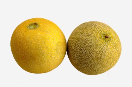 Téléchargez les photos : Fruits , two Melon Cucumis melo on white background - en image libre de droit