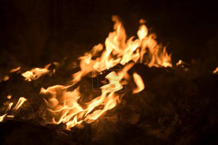 Cinco elementos de la llama de fuego de la naturaleza, Cochin ahora Kochi, Kerala, India