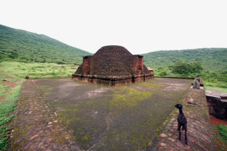 Foto de Buda stupa en la herencia Buda excavado sitio, Ratnagiri, Orissa, India - Imagen libre de derechos