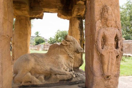 Téléchargez les photos : Nandi in mandap in Mallikarjuna temple, Aihole, Karnataka, Inde - en image libre de droit