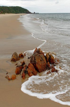 Téléchargez les photos : Les vagues de surf se précipitent sur le rocher à la plage, Village Bhogwe, Konkan, District Sindhudurga, Maharashtra, Inde - en image libre de droit
