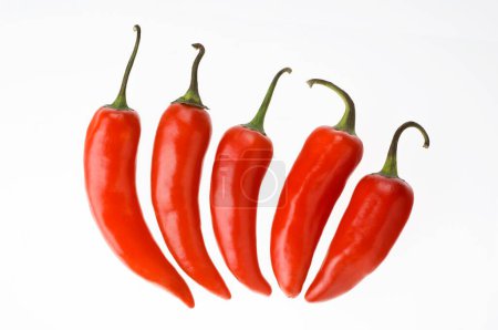 Indische Gewürze, fünf rote Chilly oder Chilischoten Paprika annuum auf weißem Hintergrund