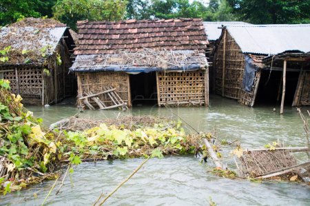 Foto de Inundación del agua de Bihar 2008 del río Kosi en el distrito de Purniya, Bihar, India - Imagen libre de derechos