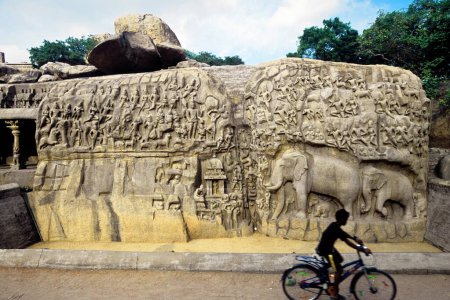 Téléchargez les photos : Bas-relief arjunas pénitence, Mahabalipuram Mamallapuram, Tamil Nadu, Inde - en image libre de droit
