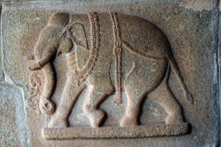 Foto de Elefante escultura tallada en pilar del templo de Hajara Rama, ruinas de Hampi Vijayanagar, Karnataka, India - Imagen libre de derechos
