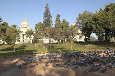 Téléchargez les photos : Ancien bâtiment historique de Vidhana Soudha, Bangalore, Karnataka, Inde - en image libre de droit
